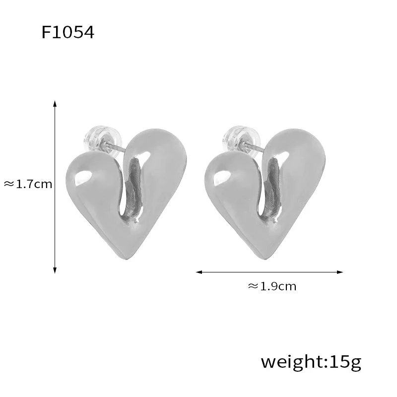 F1054-Steel Earrings